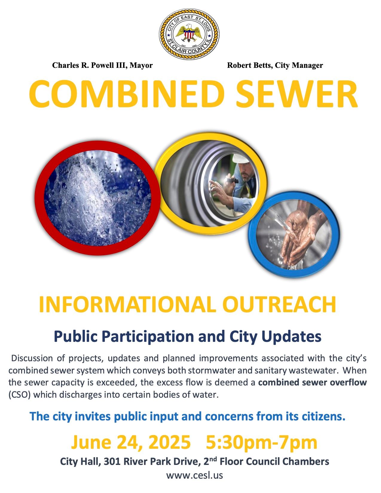 CSO Public Participation v2